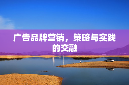 广告品牌营销，策略与实践的交融