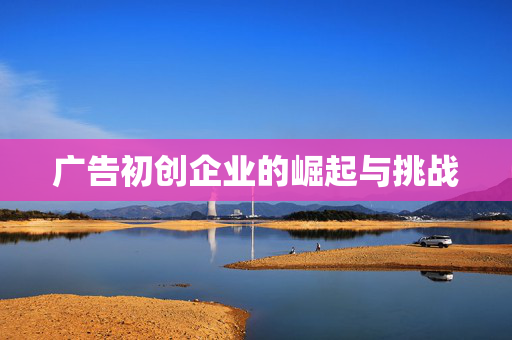 广告初创企业的崛起与挑战