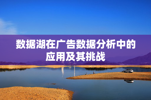 数据湖在广告数据分析中的应用及其挑战