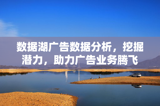 数据湖广告数据分析，挖掘潜力，助力广告业务腾飞