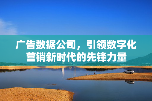 广告数据公司，引领数字化营销新时代的先锋力量