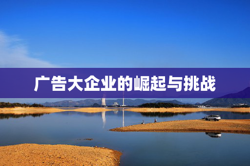 广告大企业的崛起与挑战