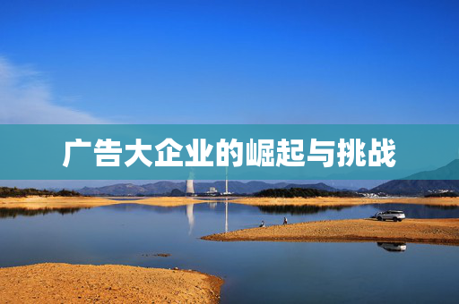 广告大企业的崛起与挑战