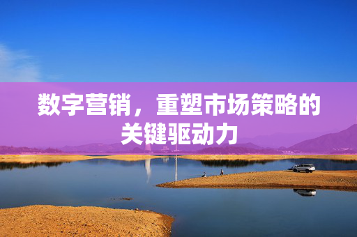 数字营销，重塑市场策略的关键驱动力