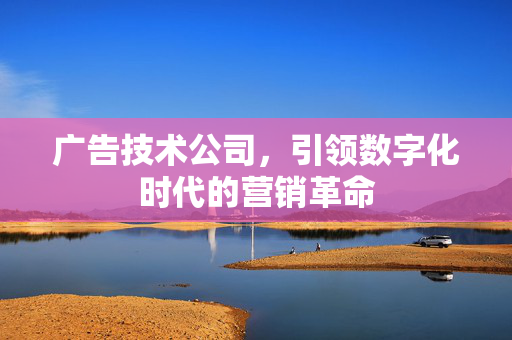 广告技术公司，引领数字化时代的营销革命