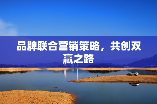 品牌联合营销策略，共创双赢之路